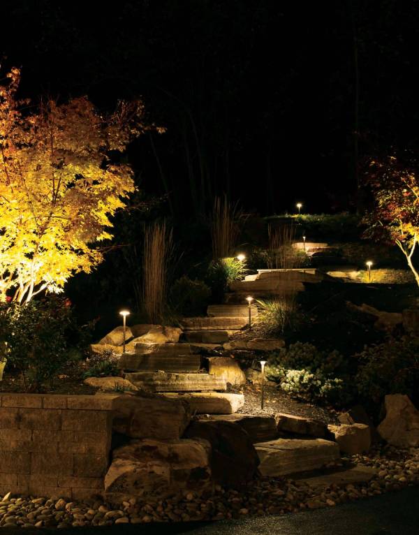 Shedding Light on Landscape Landscape Lighting 101